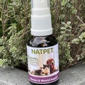Abscess & Wound Support