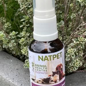 Environmental Allergy Support