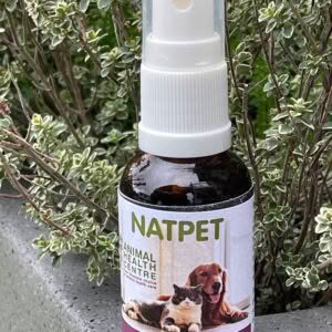 Travel Sickness Relief