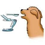 Canine Nosodes15